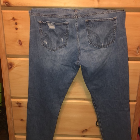 American Eagle 🦅 - Picture 2 of 5